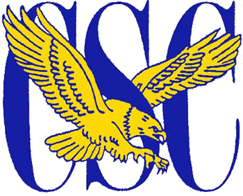 Coppin State Eagles 1988-2003 Primary Logo Print Decal